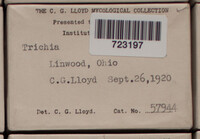 Image Associated With the Occurence